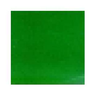 Skankin' Pickle: Green Album, The - Cover