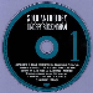 Lindsey Buckingham: Solo Anthology - The Best Of Lindsey Buckingham (3-CD) - Bild 3