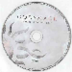Godsmack: When Legends Rise (CD) - Bild 3