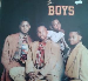 The Boys: The Boys (LP) - Bild 1