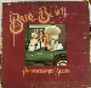 Cover - Brady Bunch: Phonographic Album