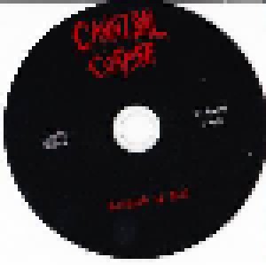 Cannibal Corpse: Created To Kill (CD) - Bild 4
