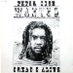 Peter Tosh: Wanted Dread & Alive - Cover