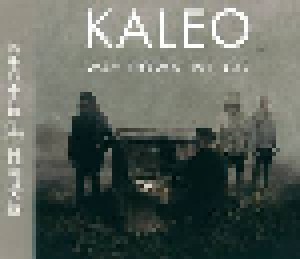 Kaleo: Way Down We Go (Single-CD) - Bild 1
