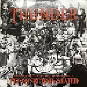 Thunder: Please Remain Seated (2-LP) - Bild 1