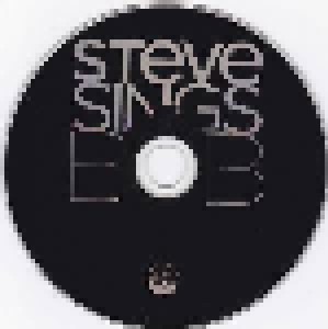 Steve Wynn: Steve Sings Bob (CD) - Bild 4