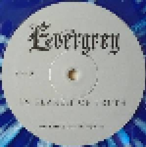 Evergrey: In Search Of Truth (2-LP) - Bild 5