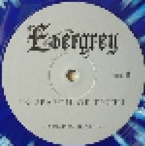 Evergrey: In Search Of Truth (2-LP) - Bild 6