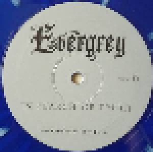 Evergrey: In Search Of Truth (2-LP) - Bild 8