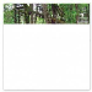 Pole: Waldgeschichten 2 - Cover