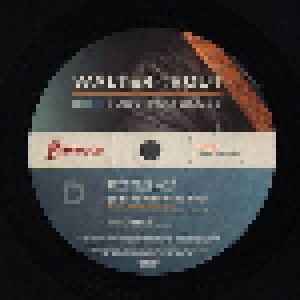 Walter Trout: Survivor Blues (2-LP) - Bild 6