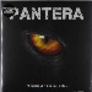 Cover - Pantera: Preliminary Groove Metal