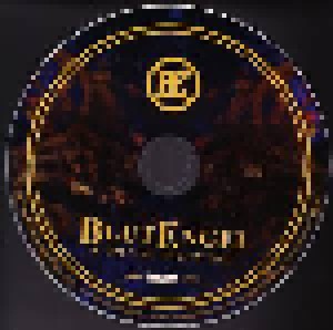 Blutengel: A Special Night Out (DVD + CD) - Bild 3