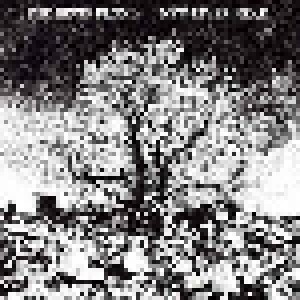 The Bevis Frond: New River Head (2-CD) - Bild 1