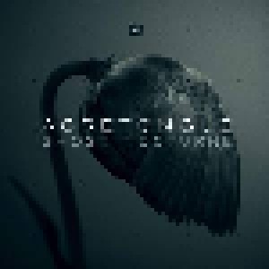 Cover - Acretongue: Ghost Nocturne