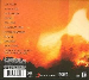 Ryan Adams: Ashes & Fire (CD) - Bild 2