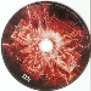 Nevergreen: Karmageddon (CD + DVD) - Bild 7