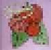 Raspberries: Classic Album Set - Cover