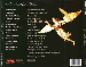 Angel Child VI: The Need For Silence (CD) - Bild 2