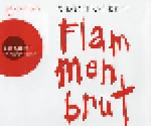 Simon Beckett: Flammenbrut (6-CD) - Bild 1