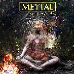 Cover - Meytal: Alchemy
