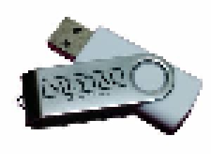 Meytal: The Witness (USB-Stick) - Bild 1