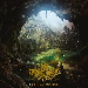 Druadan Forest: The Lost Dimension (LP) - Bild 1