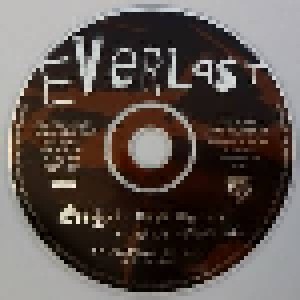 Everlast: Ends (Promo-Single-CD) - Bild 3