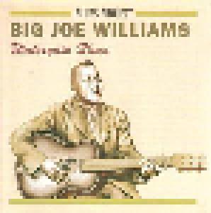 Big Joe Williams: Watergate Blues - Cover