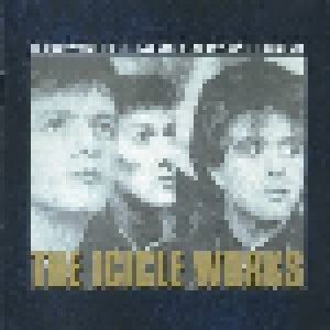 The Icicle Works: If You Want To Defeat Your Enemy Sing His Song (CD) - Bild 1