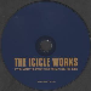 The Icicle Works: If You Want To Defeat Your Enemy Sing His Song (CD) - Bild 6