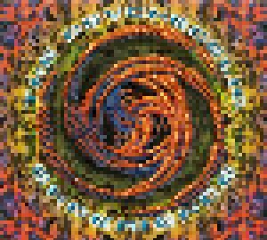 Cover - Montauk P.: Psychedelic Experience, The