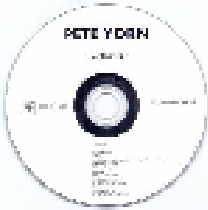 Pete Yorn: Nightcrawler (Promo-CD-R) - Bild 3