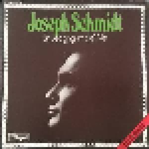 Joseph Schmidt: Ein Lied Ging Um Die Welt (2-LP) - Bild 1