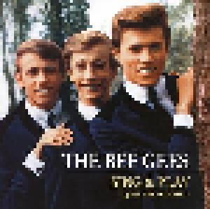 Bee Gees: Sing & Play 14 Bee Gees Classics (LP) - Bild 1