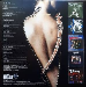 Whitesnake: Slide It In (2-LP) - Bild 2