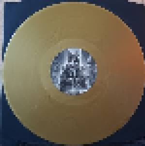 Dimmu Borgir: Godless Savage Garden (12" + CD) - Bild 3