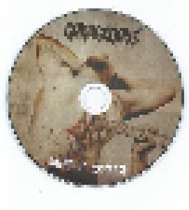 Garagedays: Here It Comes (CD) - Bild 2