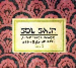 Sol Sajn - Jiddische Musik In Deutschland Und Ihre Einflüsse (1953-2009) Teil 3 - Cover