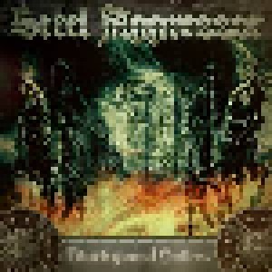 Steel Aggressor: Blackguard Hollow (CD) - Bild 1