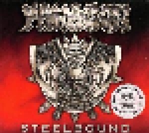 Cover - Paragon: Steelbound
