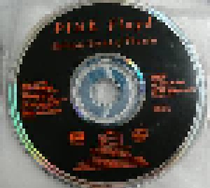 Pink Floyd: Delicate Sound Of Thunder (2-CD) - Bild 3