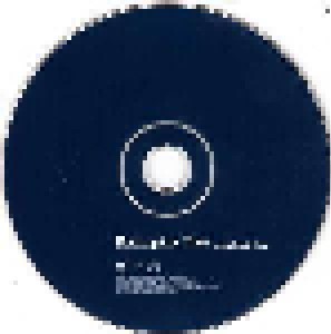 Porcupine Tree: Lightbulb Sun (CD) - Bild 4