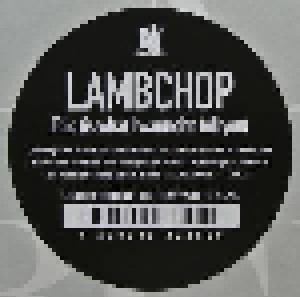 Lambchop: This (Is What I Wanted To Tell You) (LP) - Bild 3