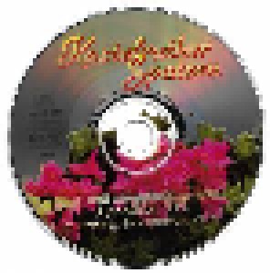 Kastelruther Spatzen: Und Wieder Blüh'n Die Alpenrosen (Single-CD) - Bild 3