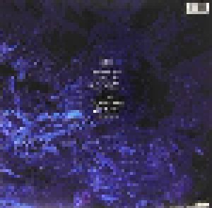 Echo & The Bunnymen: Ocean Rain (LP) - Bild 2