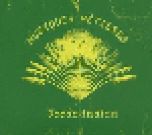 Cover - D'Gary: Musiques Métisses - Océan Indien
