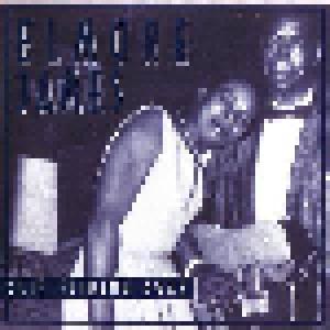 Elmore James: Slip Sliding Away - Cover