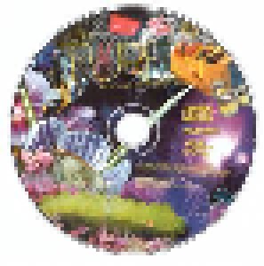 Die Türen: Unterwegs Mit Mother Earth (CD + DVD) - Bild 3