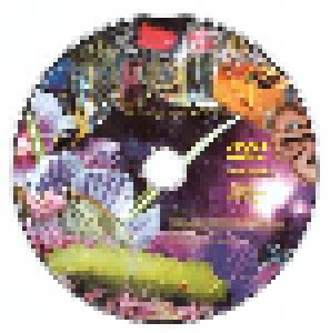 Die Türen: Unterwegs Mit Mother Earth (CD + DVD) - Bild 4